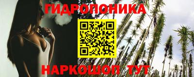 дживик Пенза