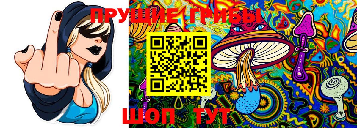 Псилоцибиновые грибы MAGIC MUSHROOMS Тихвин