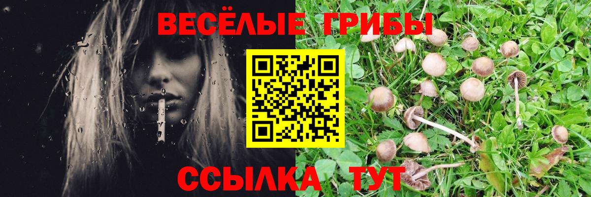 Тихвин  Галлюциногенные грибы Magic Shrooms  Вход с VPN 